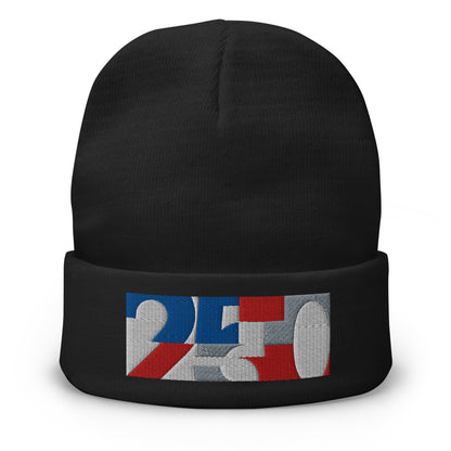 USA CREATES 250 Icon Beanie, black front view with embroidered 250 icon