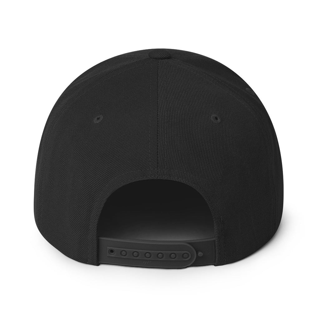USA CREATES 250 Icon Snapback, black back view with adjustable snap closure