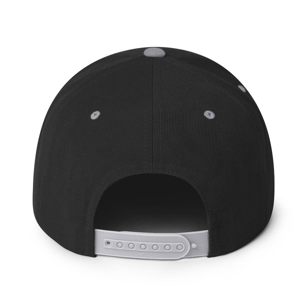 USA CREATES 250 Icon Snapback, black and silver back view with adjustable snap closure