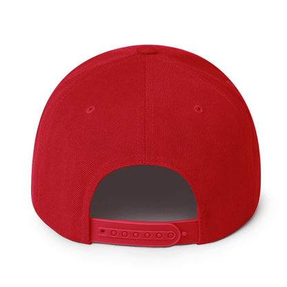 USA CREATES 250 Icon Snapback, red back view with adjustable snap closure
