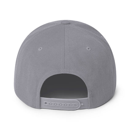USA CREATES 250 Icon Snapback, silver back view with adjustable snap closure