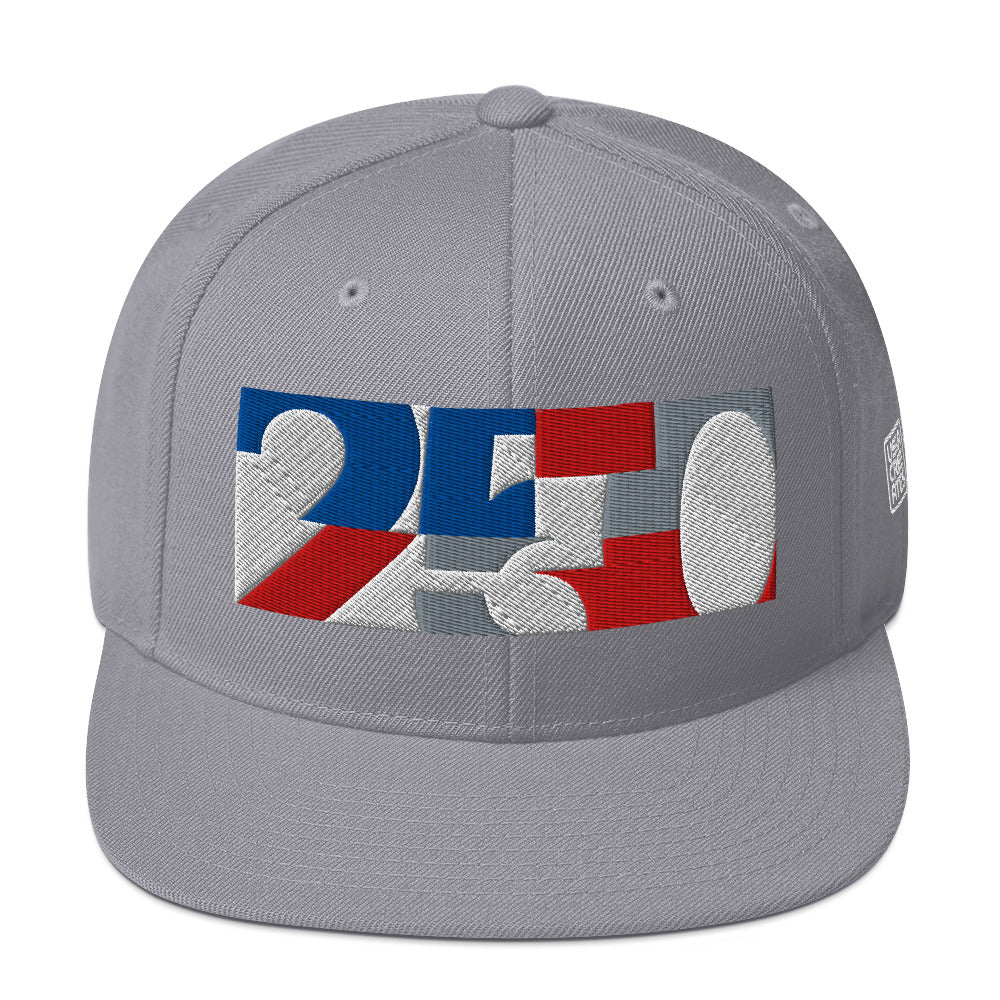 USA CREATES 250 Icon Snapback, silver front view with embroidered 250 icon